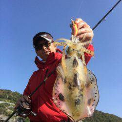 水温が安定しているポイントを狙え！12月のエギング【ジャイアン氏連載記事No.04】