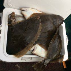 ANTARES(アンタレス) 釣果