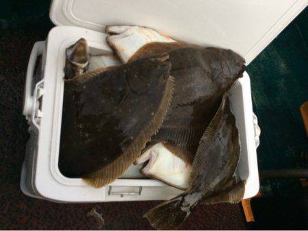 ＡＮＴＡＲＥＳ（アンタレス） 釣果