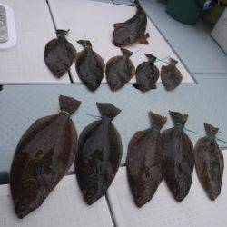 遊漁船 幸友丸 釣果