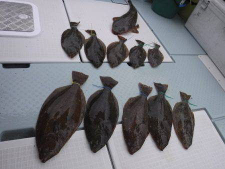 遊漁船 幸友丸 釣果