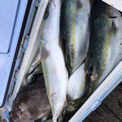 寿裕 （YOSHIHIRO） 釣果