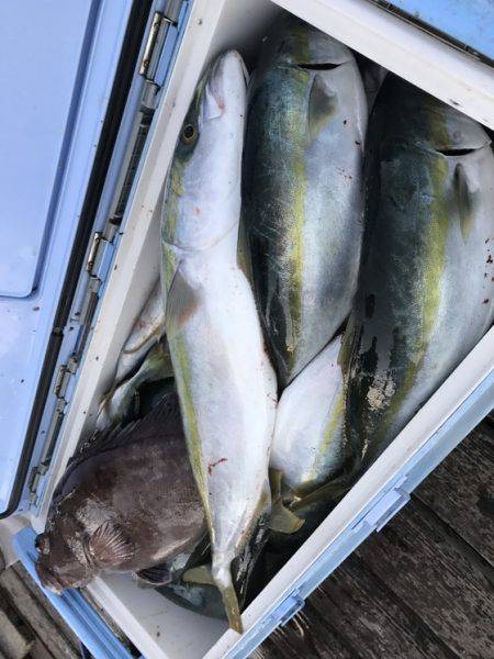 寿裕 （YOSHIHIRO） 釣果