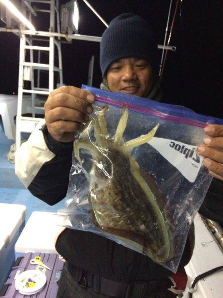 金太郎 釣果