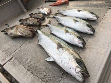 寿裕 （YOSHIHIRO） 釣果