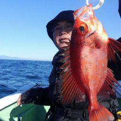 遊漁船 新鋭丸 釣果