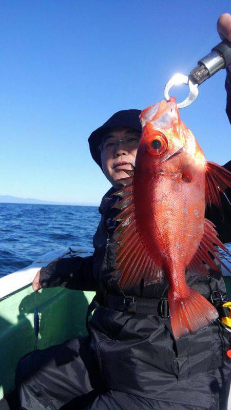 遊漁船 新鋭丸 釣果