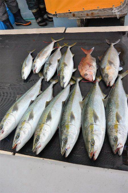 宝生丸 釣果