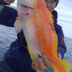 遊漁船 新鋭丸 釣果