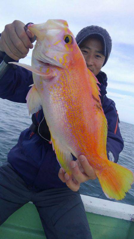 遊漁船 新鋭丸 釣果