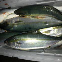 さとみ丸 釣果