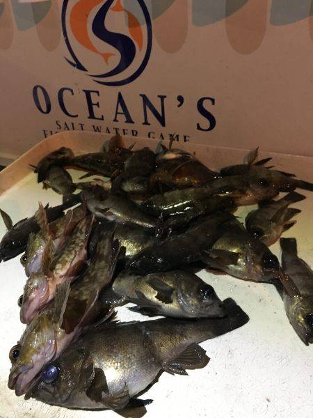 オーシャンズ 釣果