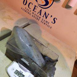 オーシャンズ 釣果