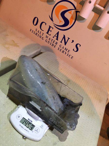 オーシャンズ 釣果