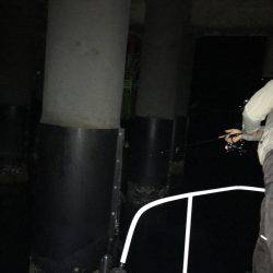 オーシャンズ 釣果