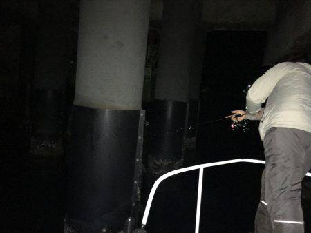 オーシャンズ 釣果