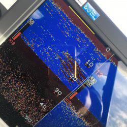 オーシャンズ 釣果