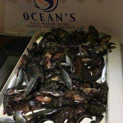 オーシャンズ 釣果