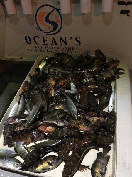 オーシャンズ 釣果