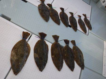 遊漁船 幸友丸 釣果