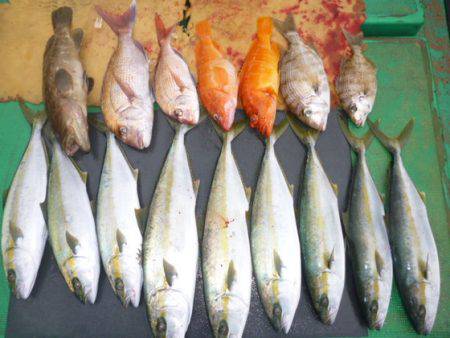 真祐丸 (しんゆうまる) 釣果