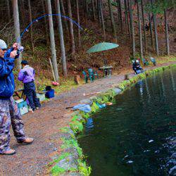 小菅トラウトガーデン 釣果