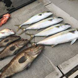 寿裕 （YOSHIHIRO） 釣果