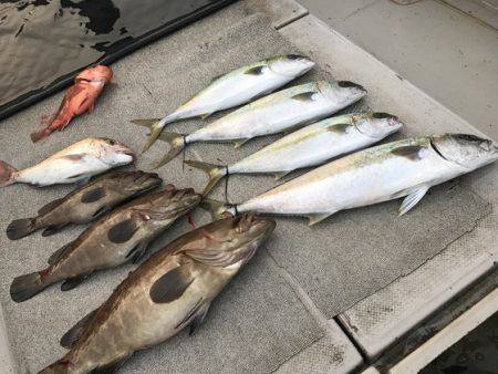 寿裕 （YOSHIHIRO） 釣果