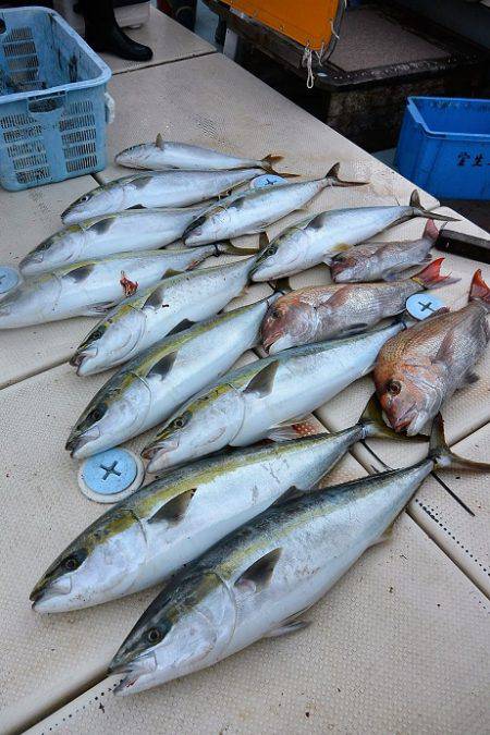 宝生丸 釣果