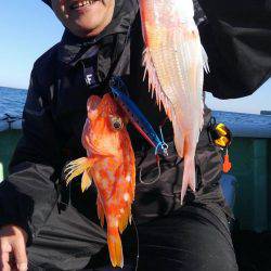 遊漁船 新鋭丸 釣果