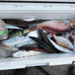 大進丸(新潟) 釣果