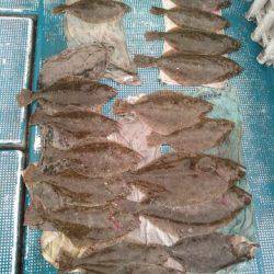 フィッシングガイド りょう 釣果