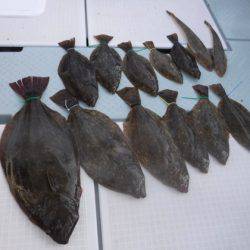 遊漁船 幸友丸 釣果