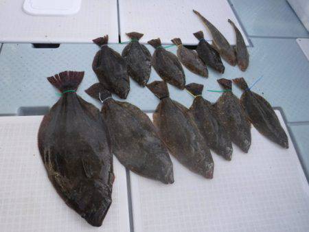 遊漁船 幸友丸 釣果