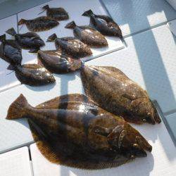 遊漁船 幸友丸 釣果