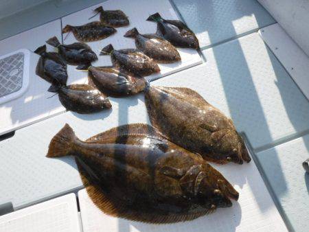 遊漁船 幸友丸 釣果