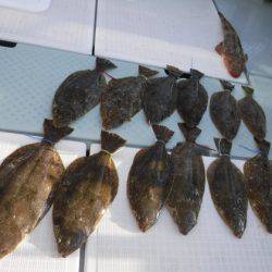 遊漁船 幸友丸 釣果