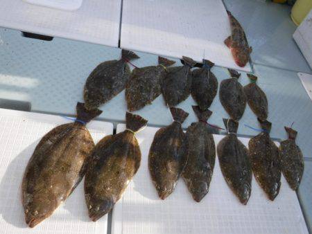 遊漁船 幸友丸 釣果