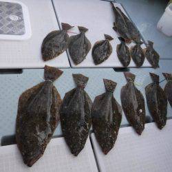 遊漁船 幸友丸 釣果