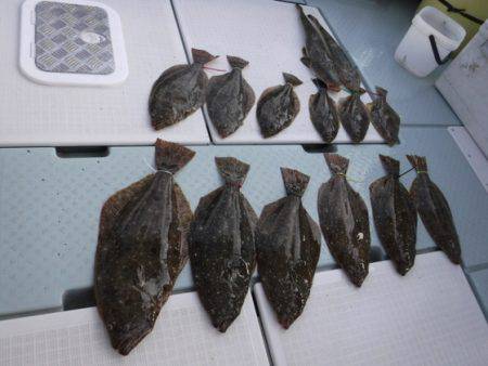 遊漁船 幸友丸 釣果