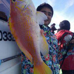 遊漁船 新鋭丸 釣果