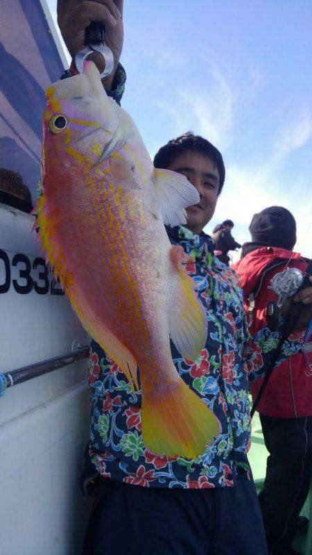 遊漁船 新鋭丸 釣果