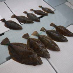 遊漁船 幸友丸 釣果