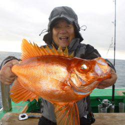 真祐丸 (しんゆうまる) 釣果