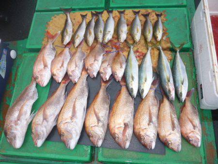 真祐丸 （しんゆうまる） 釣果