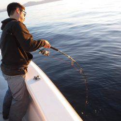 BlueNote Fishing Taxi 釣果