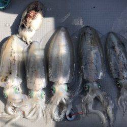 BlueOcean(ブルーオーシャン) 釣果