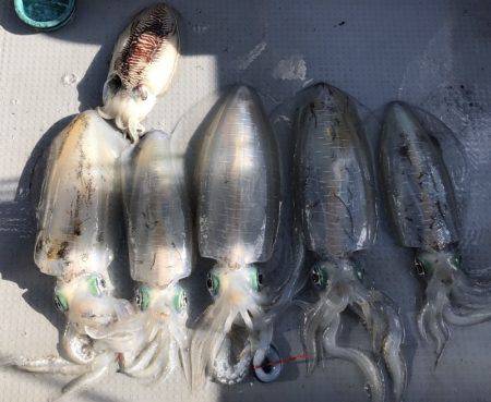 BlueOcean(ブルーオーシャン) 釣果