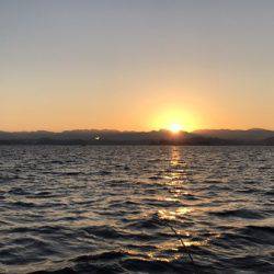 BlueOcean(ブルーオーシャン) 釣果