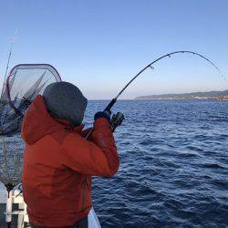 BlueOcean(ブルーオーシャン) 釣果